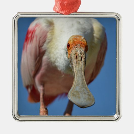 Roseate Spoonbill met zijn grote snavel Metalen Ornament (Voorkant)