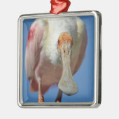 Roseate Spoonbill met zijn grote snavel Metalen Ornament (Links)