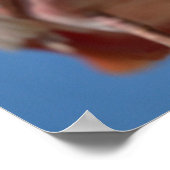 Roseate Spoonbill met zijn grote snavel Poster (Hoek)