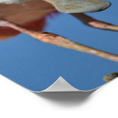 Roseate Spoonbill met zijn grote snavel Poster (Hoek)