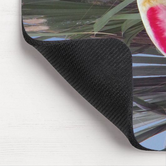 Roseate Spoonbill mousepad Muismat (Hoek)