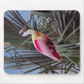 Roseate Spoonbill mousepad Muismat (Voorkant)
