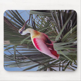 Roseate Spoonbill mousepad Muismat