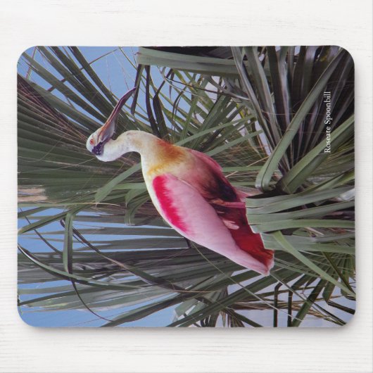 Roseate Spoonbill mousepad Muismat (Voorkant)