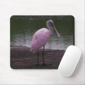 Roseate Spoonbill Muismat (Met muis)