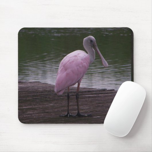 Roseate Spoonbill Muismat (Met muis)