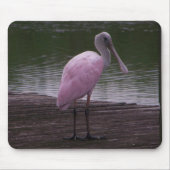 Roseate Spoonbill Muismat (Voorkant)