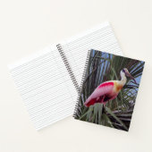 Roseate Spoonbill-notitieboek Notitieboek (Binnen)