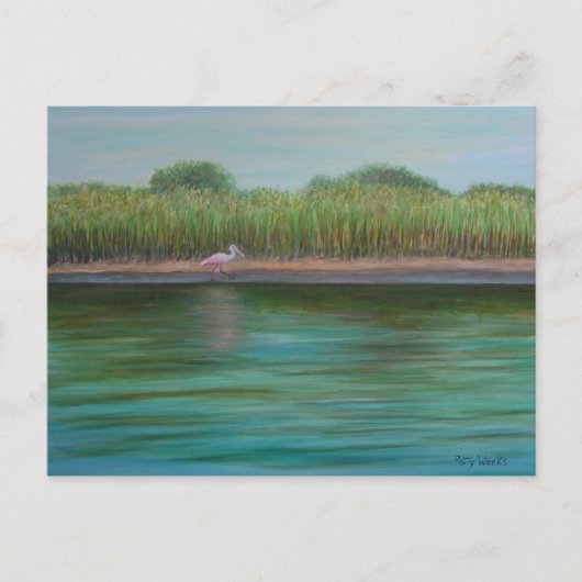 ROSEATE SPOONBILL ON EAST CREEK Briefkaart (Voorkant)