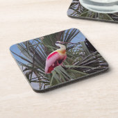 Roseate Spoonbill-onderzetter Bier Onderzetter (Linkerzijde)
