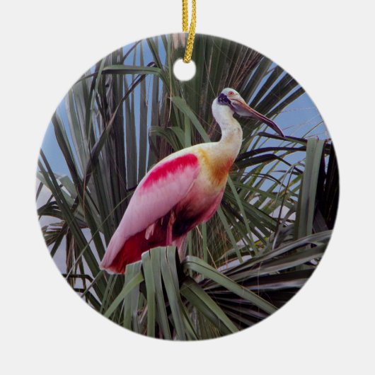 Roseate Spoonbill-ornament Keramisch Ornament (Voorkant)