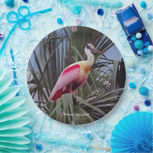 Roseate Spoonbill papier bord (Feest)