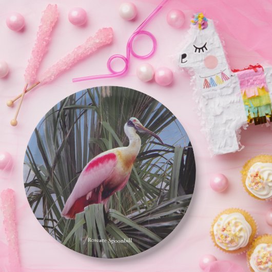 Roseate Spoonbill papier bord (Feest)