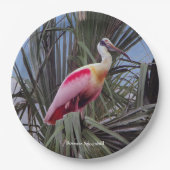 Roseate Spoonbill papier bord (Voorkant)