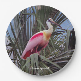 Roseate Spoonbill papier bord
