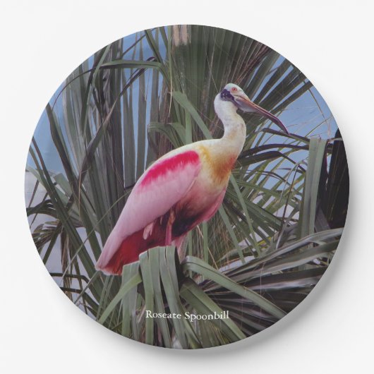 Roseate Spoonbill papier bord (Voorkant)