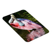 Roseate Spoonbill Puzzel Magneet (Rechterzijde)