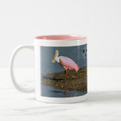 Roseate Spoonbill Reflectie Tweekleurige Koffiemok (Links)