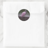 Roseate Spoonbill Ronde Sticker (Tas)