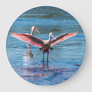 Roseate Spoonbill Round (Grote wandklok) Grote Klok