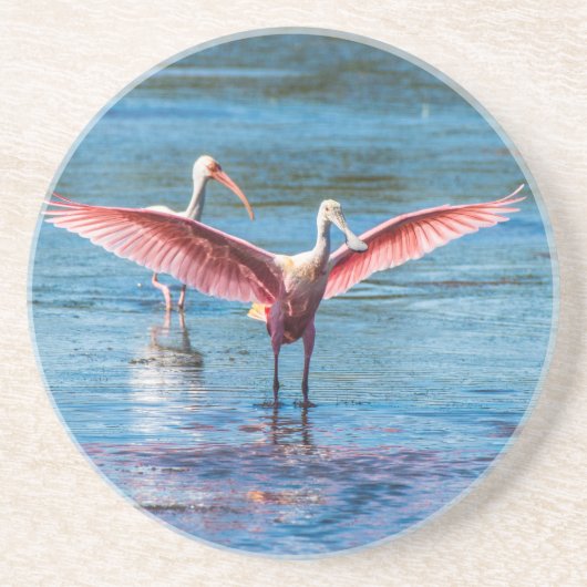 Roseate Spoonbill Sandstone Drink Onderzetter (Voorkant)