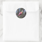 Roseate Spoonbill sticker (Tas)