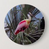 Roseate Spoonbill-toets Ronde Button 4,0 Cm (Voorkant)