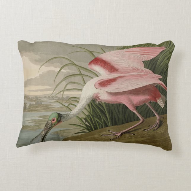 Roseate Spoonbill uit Audubon's Birds of America Accent Kussen (Achterkant)