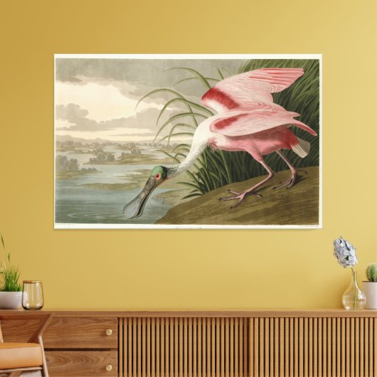 Roseate Spoonbill uit Audubon's Birds of America Canvas Afdruk (Insitu (Woonkamer))