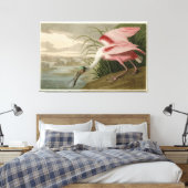 Roseate Spoonbill uit Audubon's Birds of America Canvas Afdruk (Insitu (Slaapkamer))