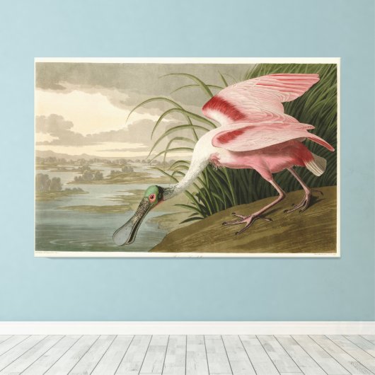 Roseate Spoonbill uit Audubon's Birds of America Canvas Afdruk (Insitu (Houten vloer))