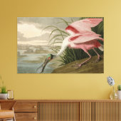 Roseate Spoonbill uit Audubon's Birds of America Canvas Afdruk (Insitu (Woonkamer))