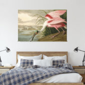 Roseate Spoonbill uit Audubon's Birds of America Canvas Afdruk (Insitu (Slaapkamer))