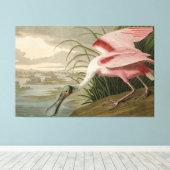 Roseate Spoonbill uit Audubon's Birds of America Canvas Afdruk (Insitu (Houten vloer))