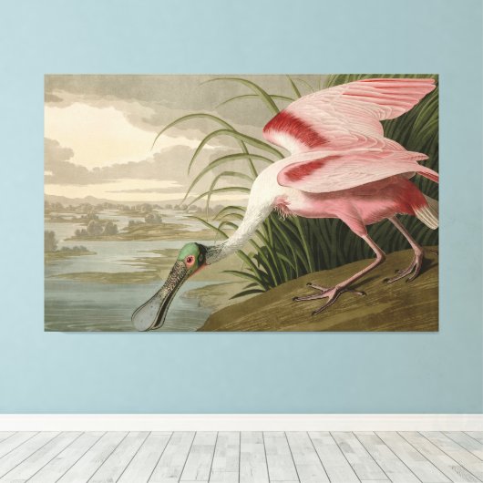 Roseate Spoonbill uit Audubon's Birds of America Canvas Afdruk (Insitu (Houten vloer))