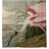 Roseate Spoonbill uit Audubon's Birds of America Douchegordijn (Voorkant)