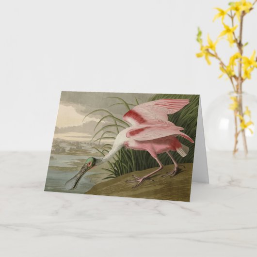 Roseate Spoonbill uit Audubon's Birds of America Kaart (Gele Bloem)
