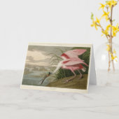 Roseate Spoonbill uit Audubon's Birds of America Kaart (Gele Bloem)