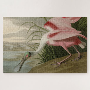 Roseate Spoonbill uit Audubon's Birds of America Legpuzzel