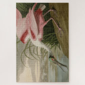 Roseate Spoonbill uit Audubon's Birds of America Legpuzzel (Verticaal)