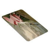 Roseate Spoonbill uit Audubon's Birds of America Magneet (Rechterzijde)