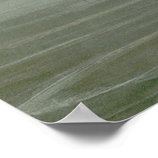 Roseate Spoonbill uit Audubon's Birds of America Poster (Hoek)