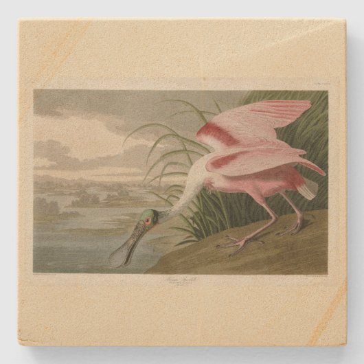 Roseate Spoonbill uit Audubon's Birds of America Stenen Onderzetter (Voorkant)