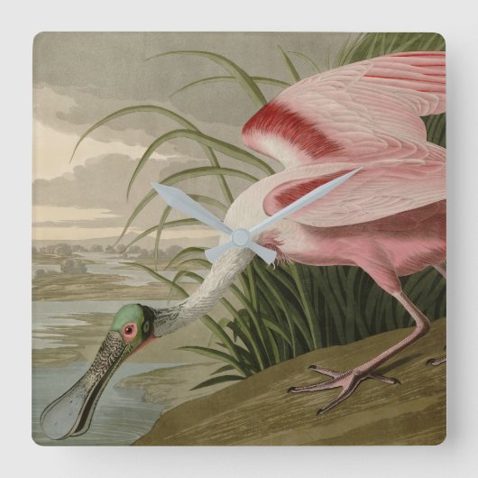 Roseate Spoonbill uit Audubon's Birds of America Vierkante Klok (Voorkant)