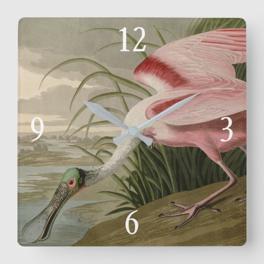 Roseate Spoonbill uit Audubon's Birds of America Vierkante Klok (Voorkant)