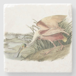 Roseate Spoonbill van Audubon Stenen Onderzetter