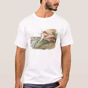 Roseate Spoonbill van Audubon T-shirt