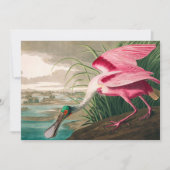 Roseate Spoonbill van John James Audubon Bedankkaart (Voorkant)