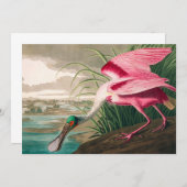 Roseate Spoonbill van John James Audubon Bedankkaart (Voorkant / Achterkant)