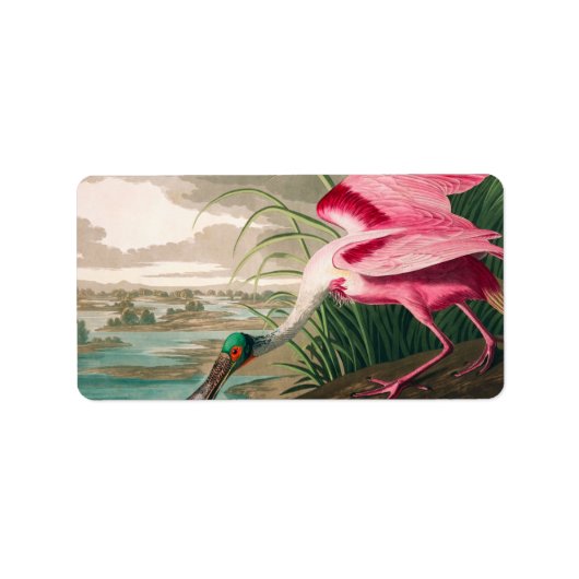 Roseate Spoonbill van John James Audubon Etiket (Voorkant)